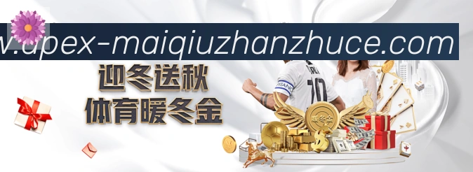 未来规划